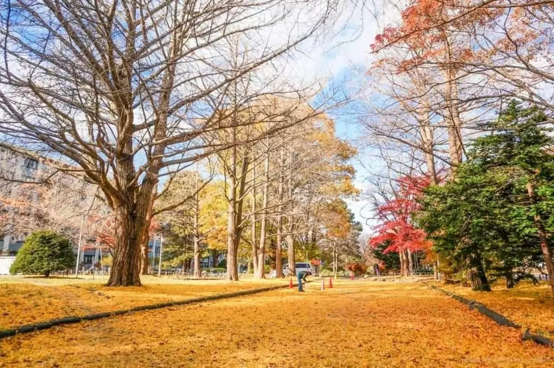 Jozankei & Otaru Customizable Chartered Car Day Tour from Sapporo