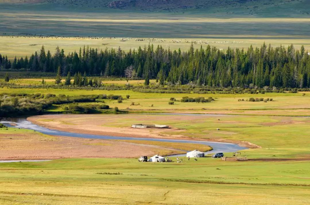 11D10N Reindeer Expedition in Northern Mongolia from Singapore