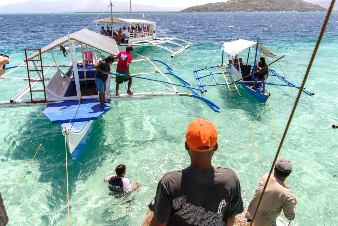 Dolphin Watching and Manjuyod Sandbar Tour