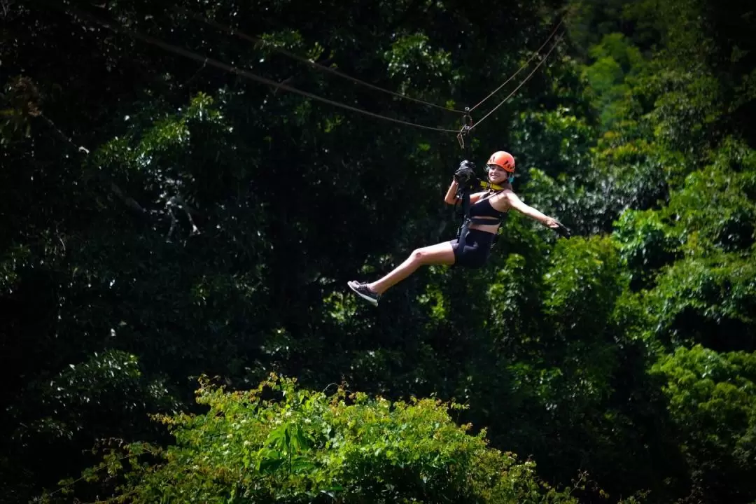 ジップライン体験（サムイ島 / Tree Bridge Zipline提供）