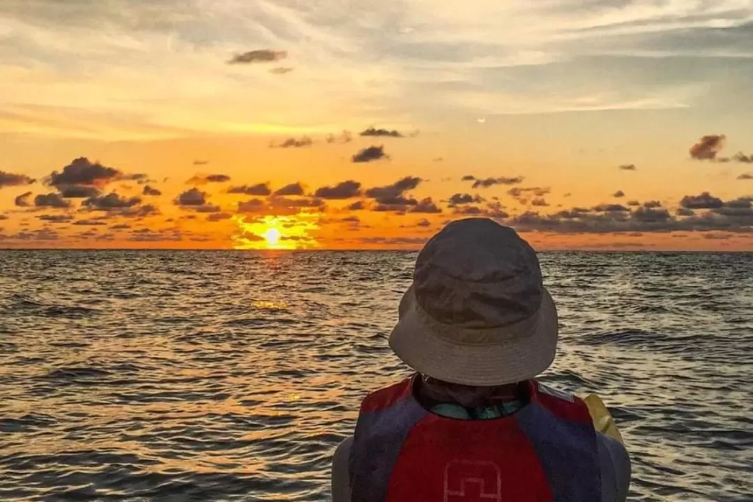 Mangrove Kayaking Serusup Tuaran Sunset and Sunrise Tour