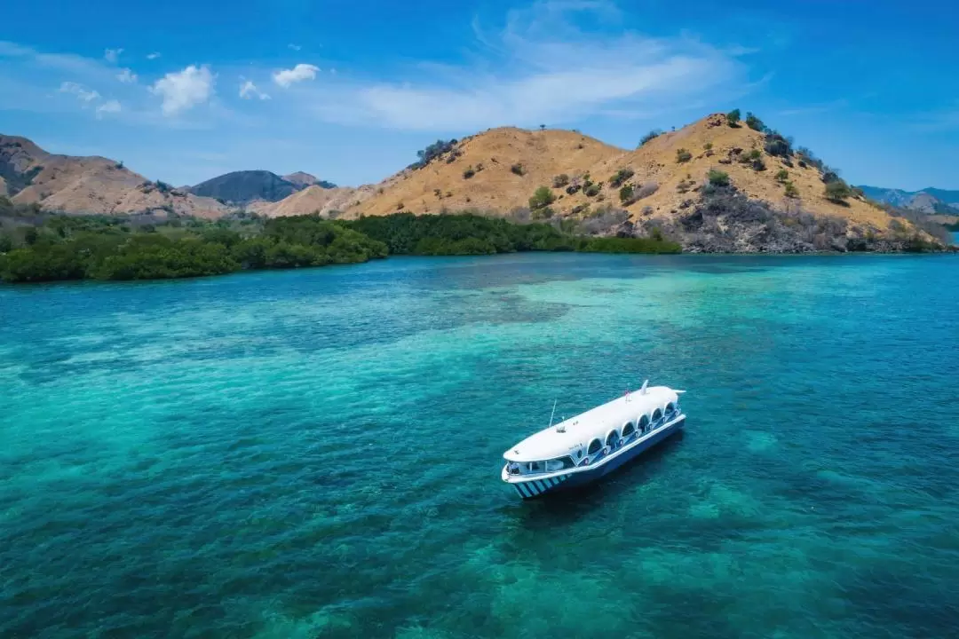 Glass Bottom Boat Sightseeing Tour Operated by AYANA