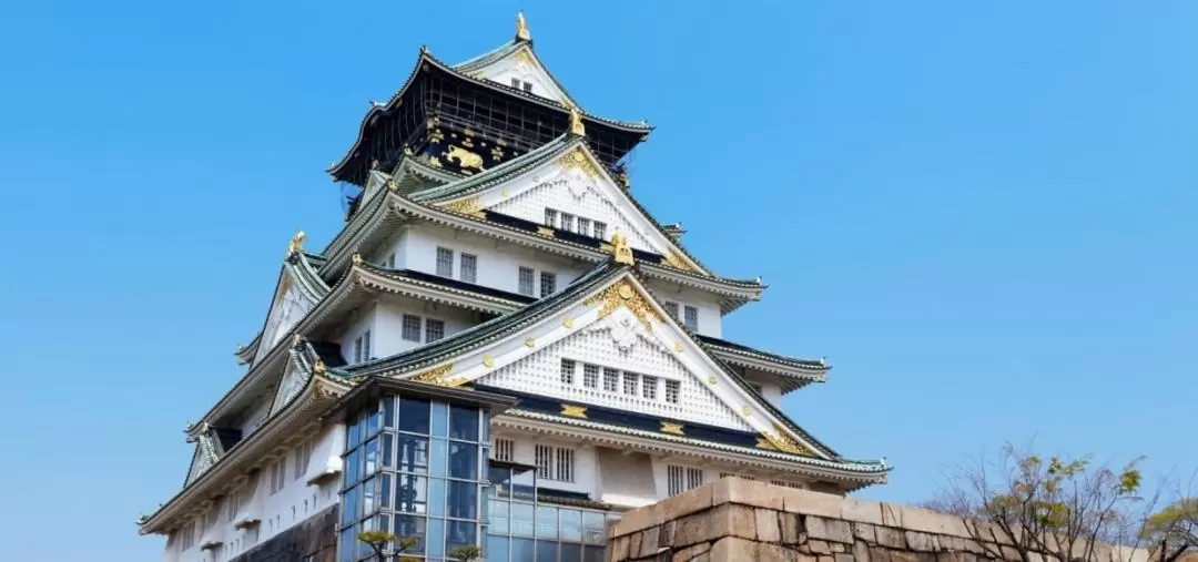 大阪一日導覽之旅（神户港出發）