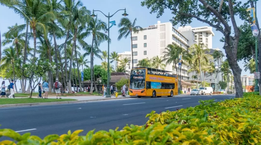 Waikiki Trolley Pass in Hawaii