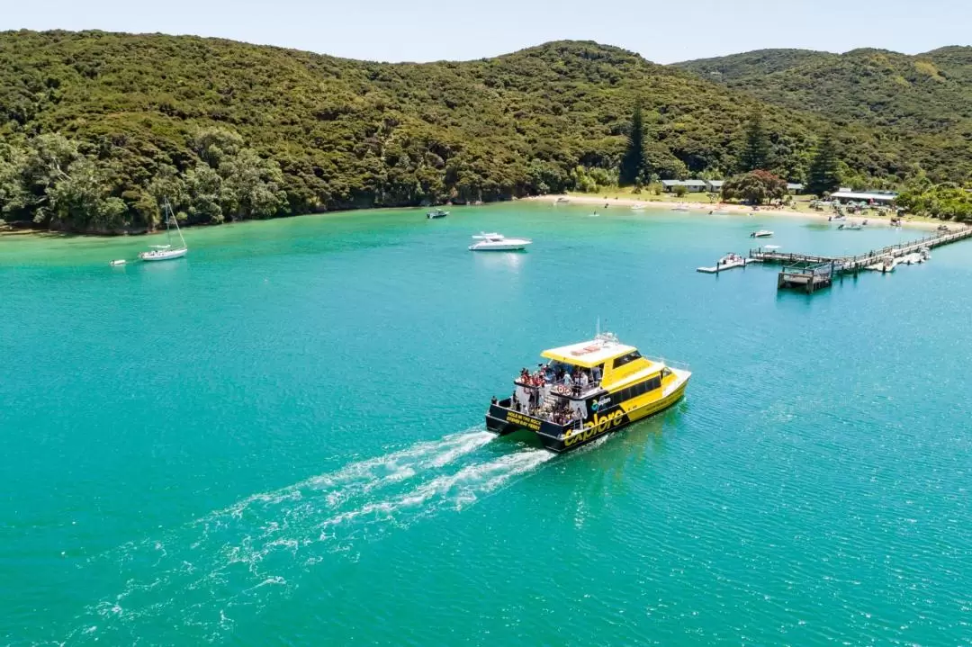 Public Ferry Transfer for Otehei Bay