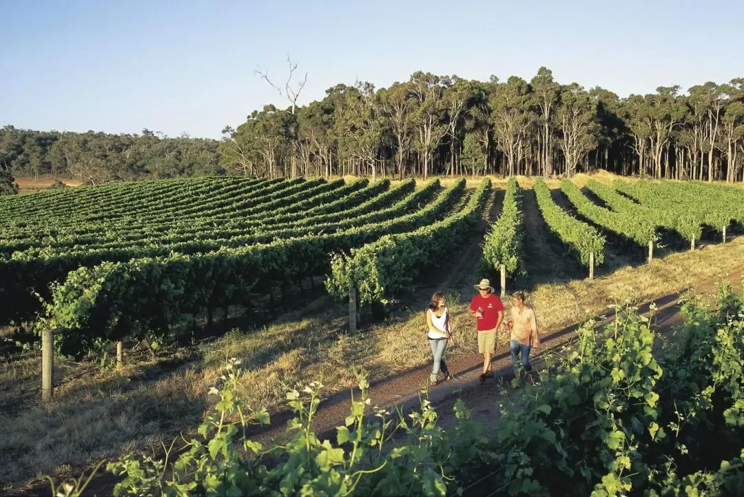 4D3N Albany ANZAC Tree Top Walk & Margaret River Tour