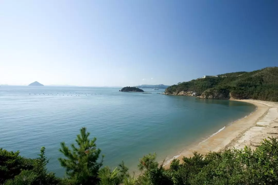 直島 日帰りサイクリングツアー（香川）