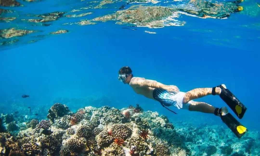 Snorkeling and Water Sports Experience in Manukan and Sapi Island