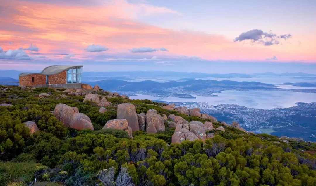 MONA Boat Cruise and Mt Wellington Morning Tour