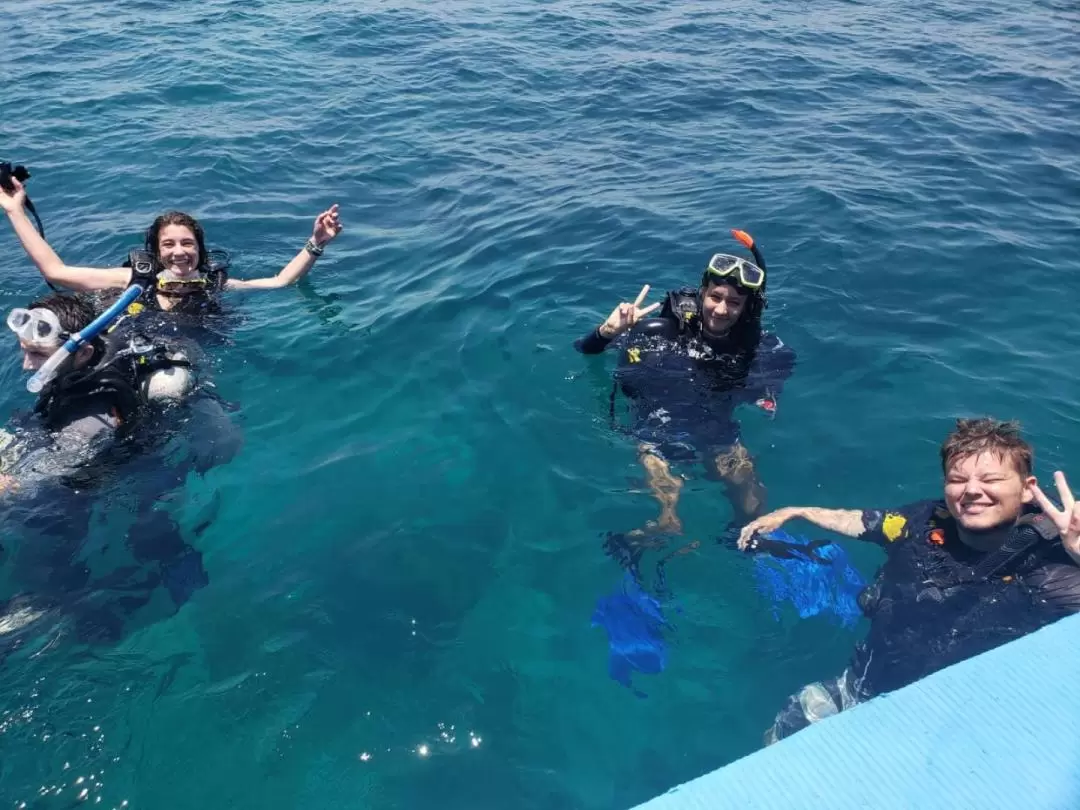 멘장안섬 디스커버 체험 다이빙 (자격증 불필요 / Bali Diving Academy)