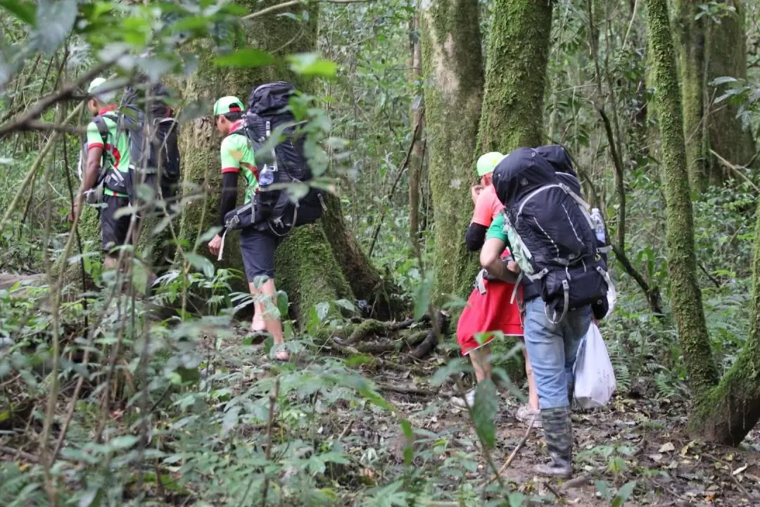 L'angbiang Mountain Trekking Adventure in Da Lat