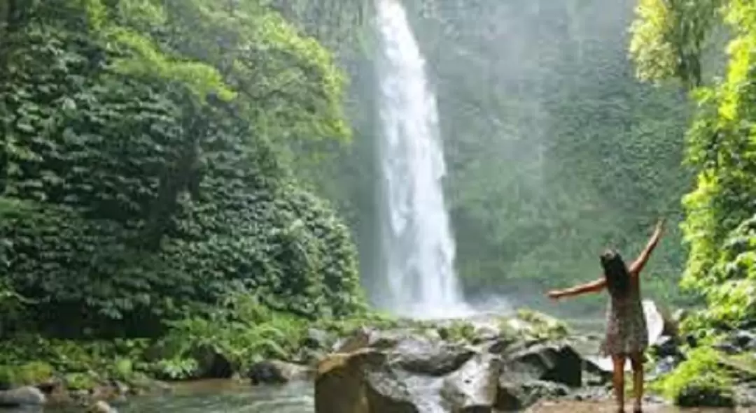 Nung Nung Waterfall Private Day Tour in Bali