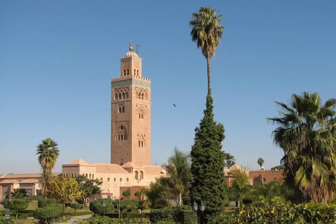 Agafay Desert and Atlas Mountain with Camel Ride from Marrakech