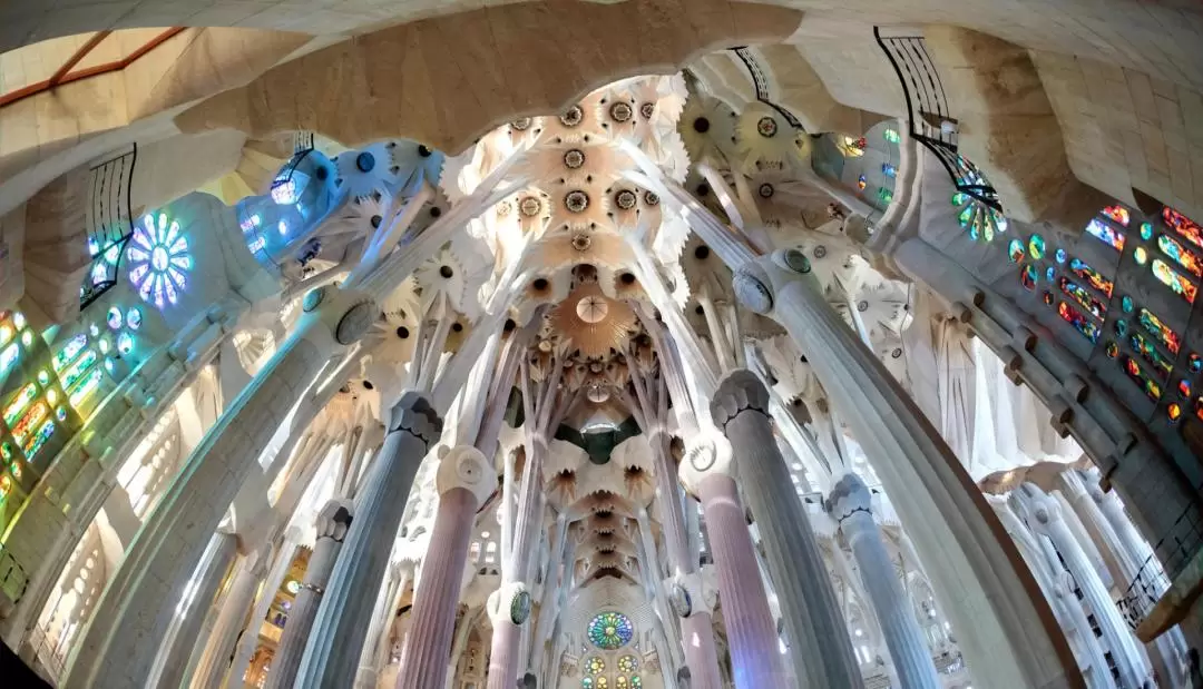 Sagrada Familia Guided Tour with Fast Track Access and Optional Tower Access