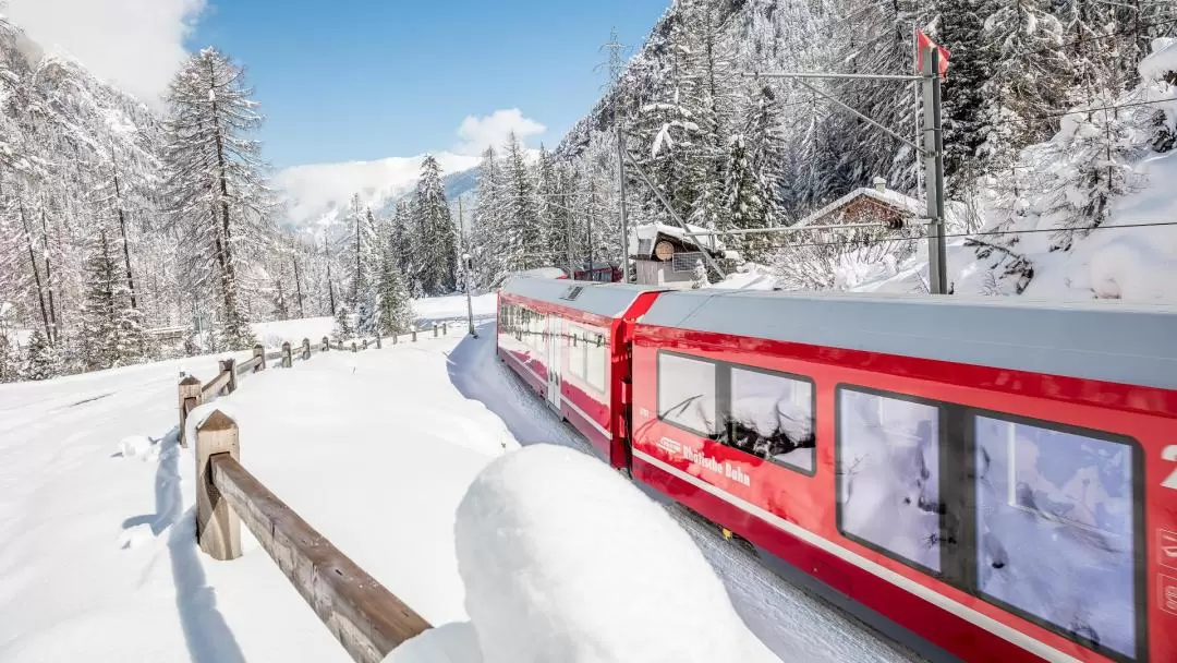 Bernina Train Express and Swiss Alps Full Day Tour from Milan