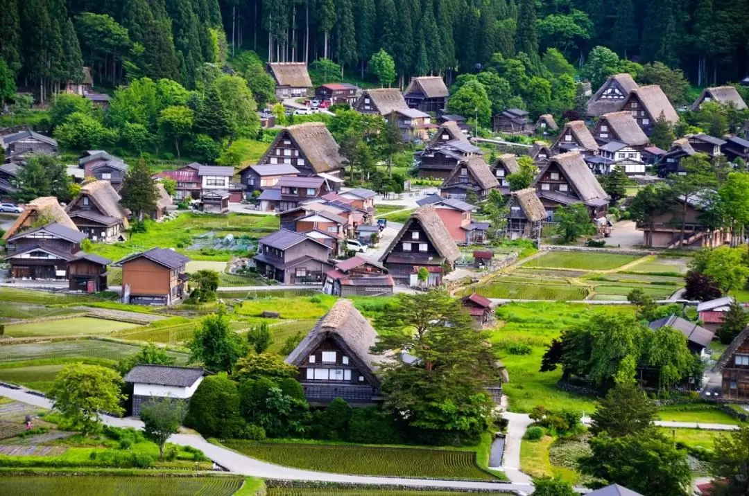 白川鄉 & 南礪村莊之旅（高山出發）