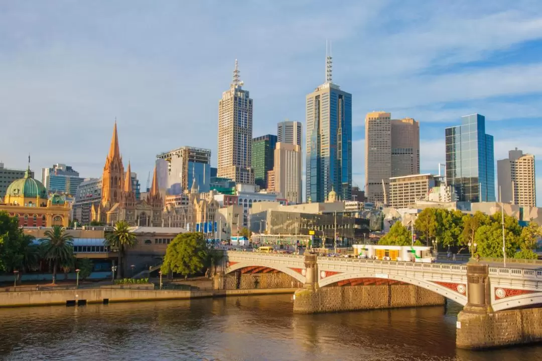 Bottomless Brunch Afloat Cruise in Melbourne