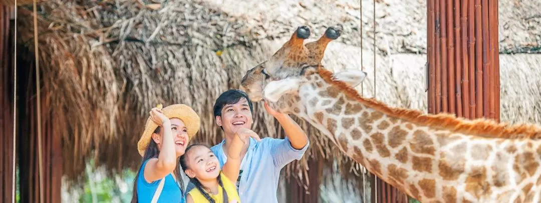 ヴィンパールサファリフーコック 入園チケット