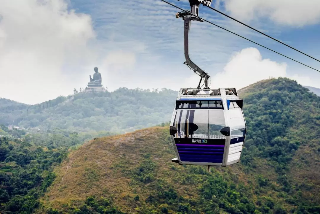 Ngong Ping 360 Tai O Pass (Include Bus and snack coupon)