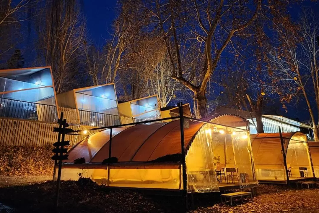 Glamping Private Day Tour from Seoul