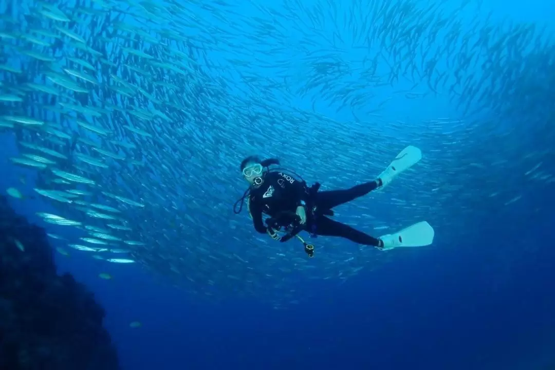 ダイビング体験（タオ島 / SSI Czone Dive Center提供）