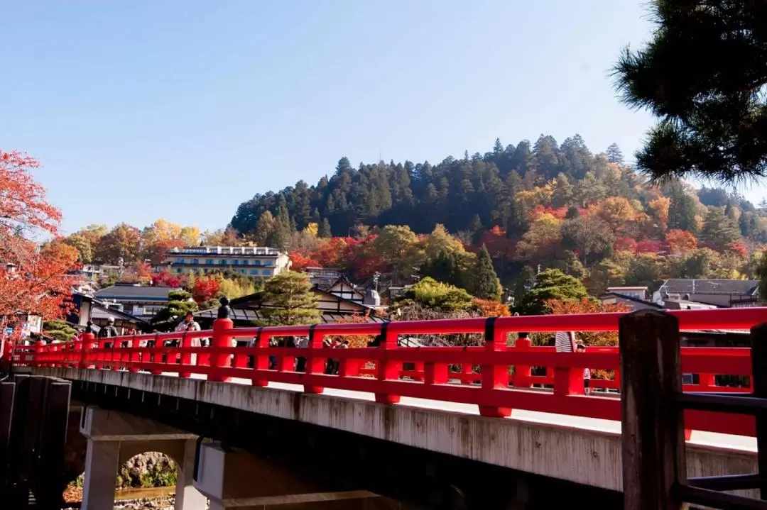 白川鄉＆高山市私人一日遊（名古屋出發）