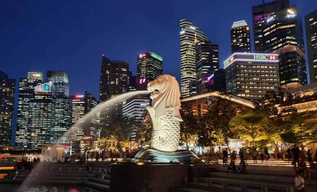 Singapore Private City Tour by Vimo Services