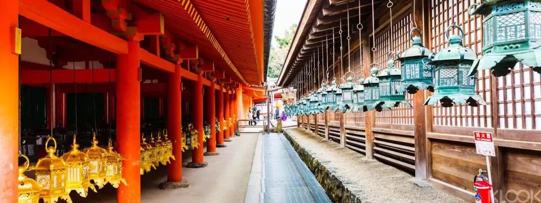 Nara Afternoon Tour from Kyoto