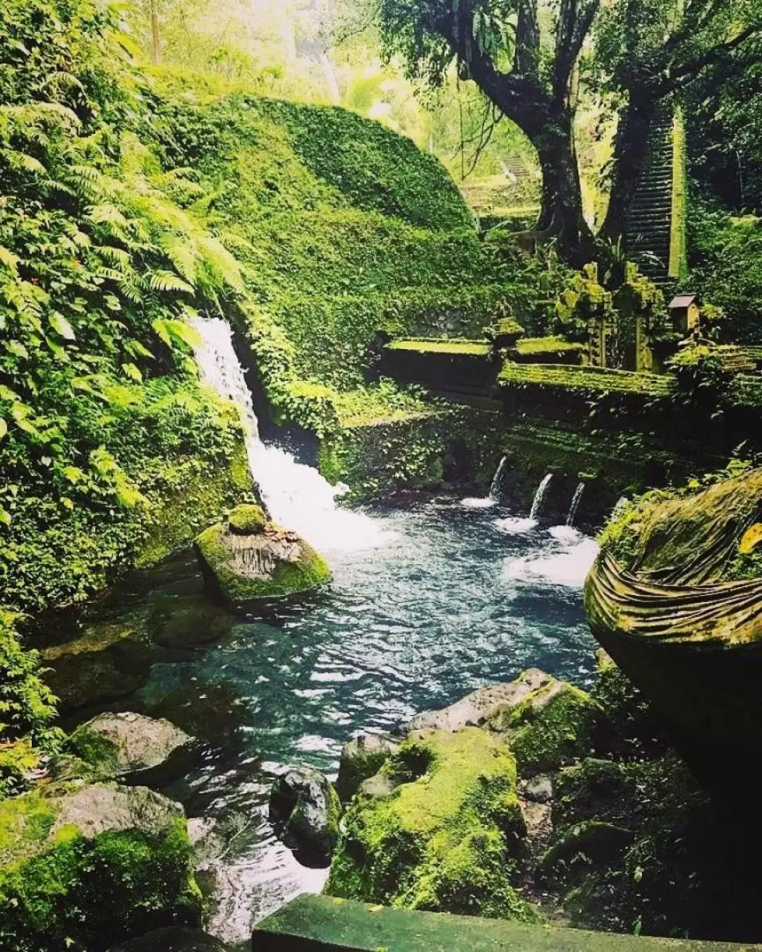 Yoga Experience in Bali with Visit to Hidden Water Temple