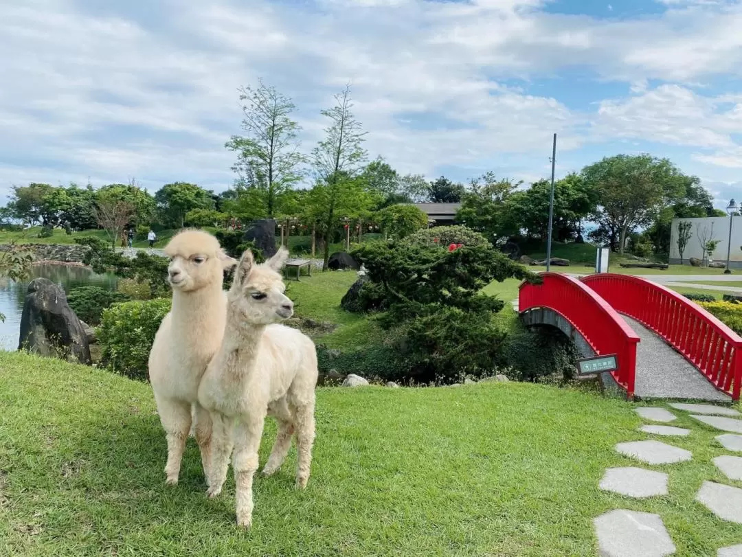 宜蘭綠舞日式主題園區：門票・體驗套票