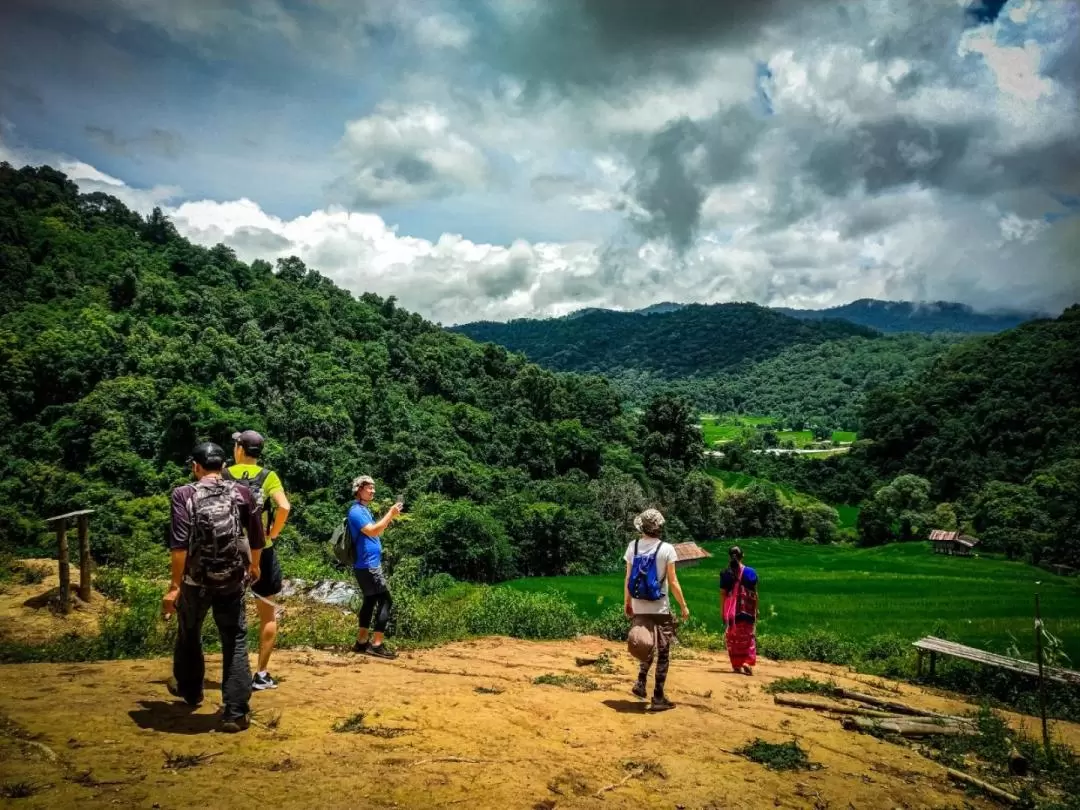 Waterfall Wanderer Doi Inthanon Hiking and Sightseeing Tour