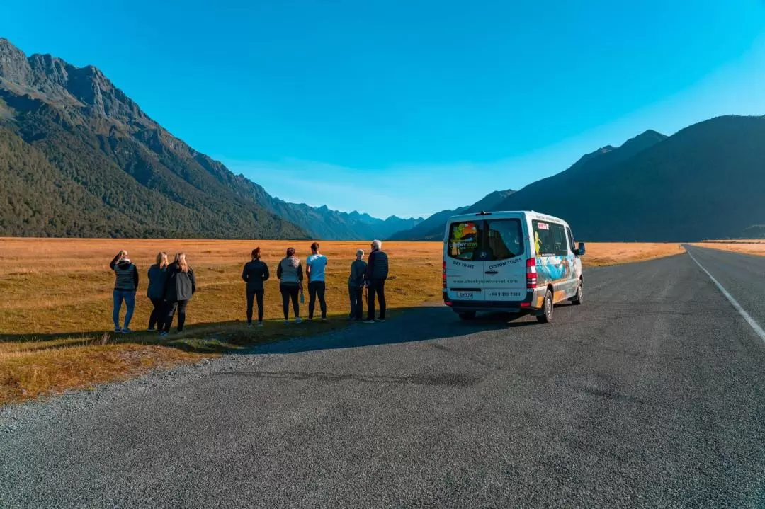 Milford Sound Cruise Day Tour from Queenstown or Te Anau