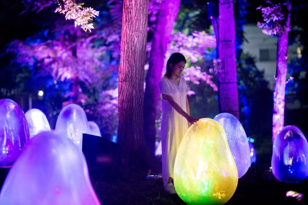 teamLab: Resonating Life in the Acorn Forest Ticket in Tokorozawa