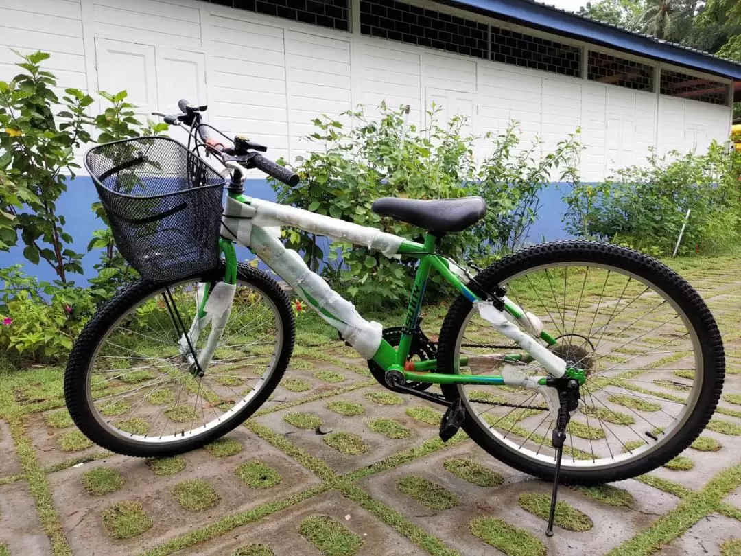 ウビン島 自転車レンタル