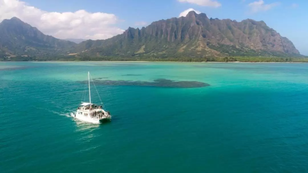 古蘭尼牧場海洋之旅＆魚池體驗