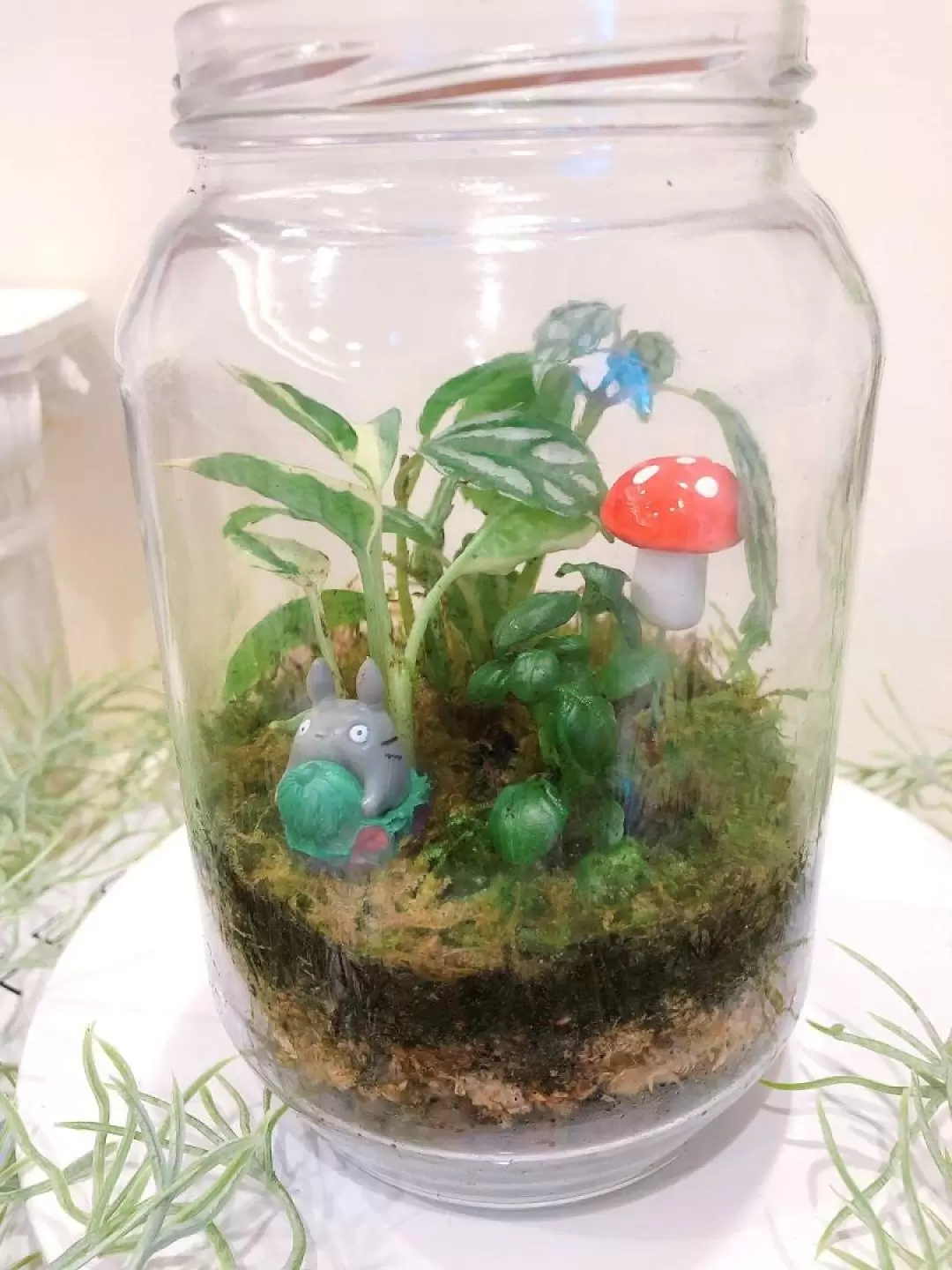 Plant Terrarium DIY Experience in Taichung