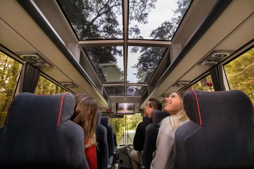 Milford Sound Day Tour from Te Anau