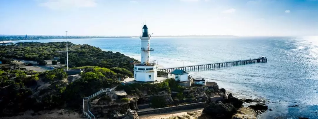 Bellarine Peninsula Guided Day Tour with Lunch from Melbourne