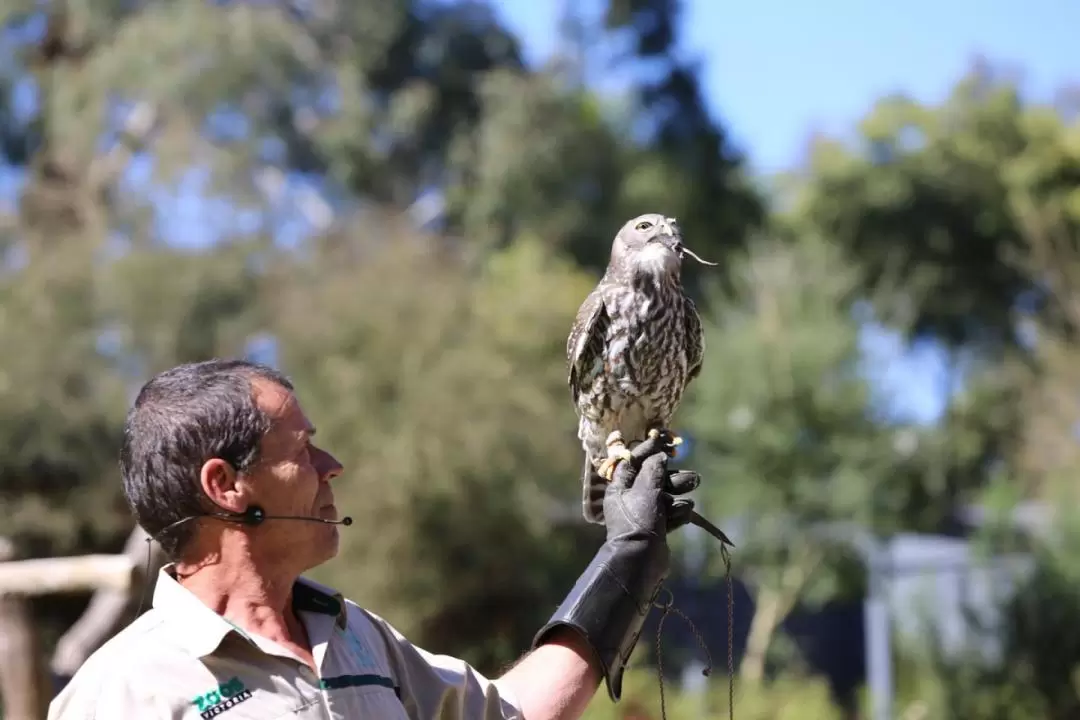 Healesville Sanctuary VIP Tour including General Admission