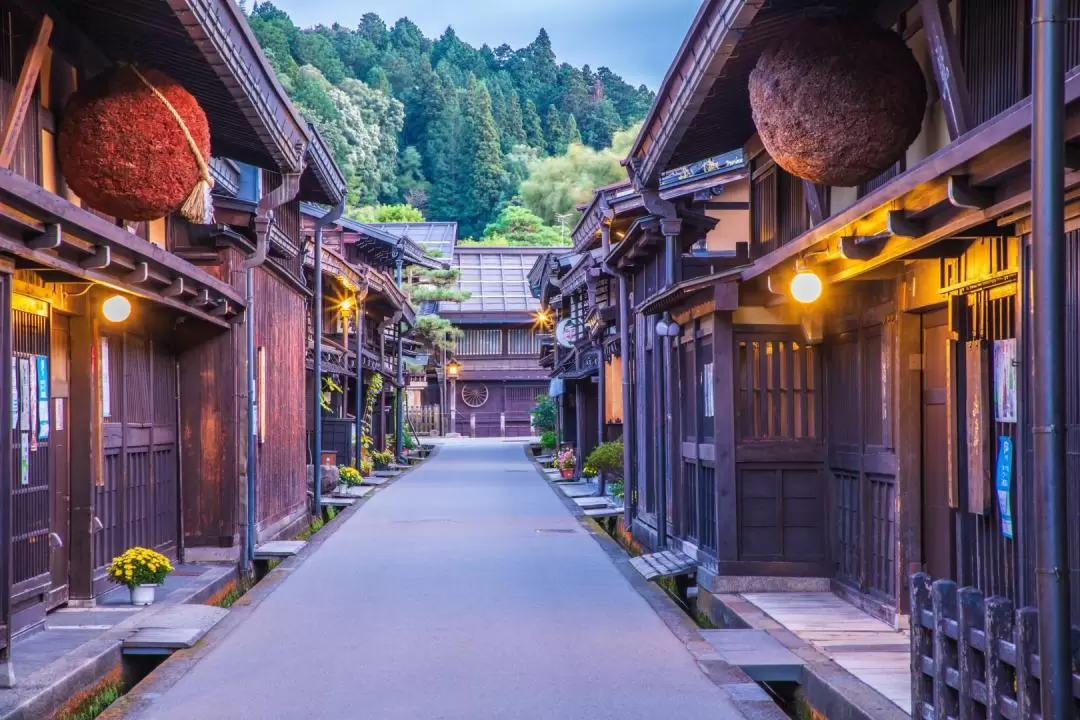 Shirakawago & Takayama Private Day Tour from Nagoya