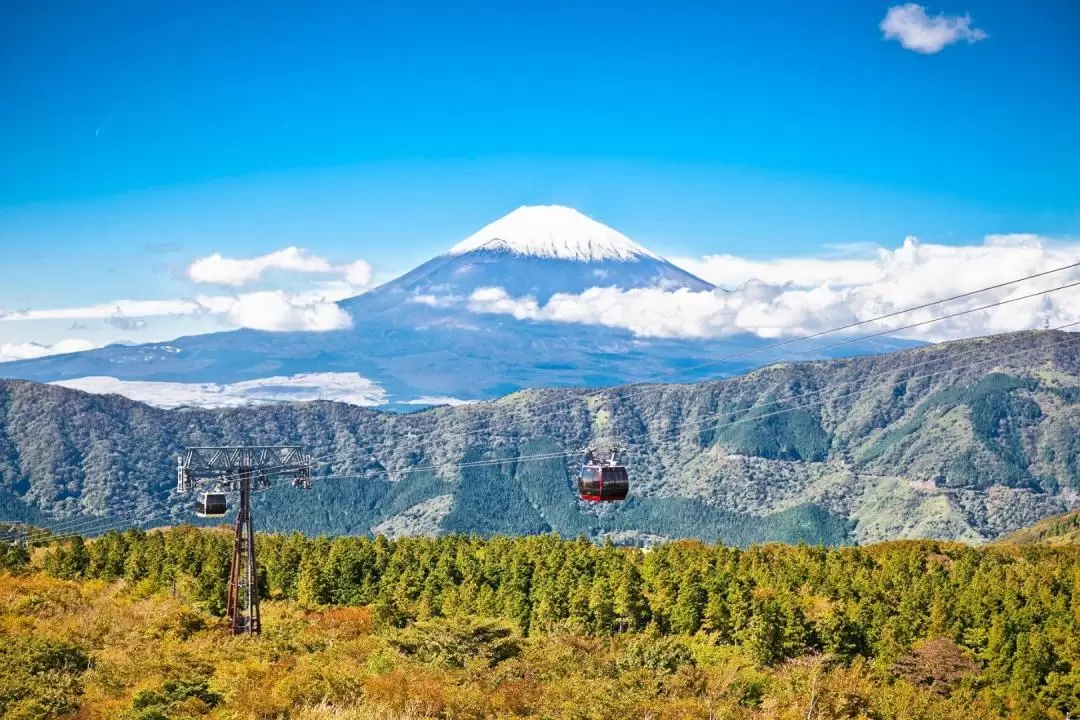 富士山＆蘆之湖＆大涌谷一日遊（東京出發）