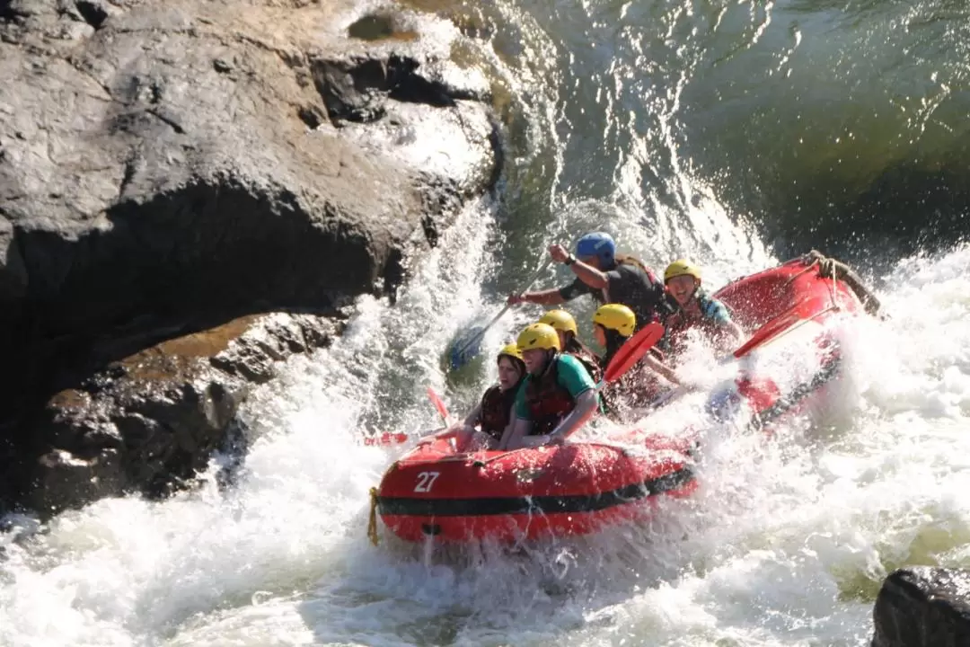 Half-Day Barron River Rafting Experience from Cairns or Port Douglas