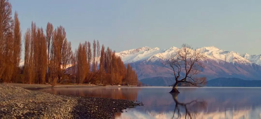 Arrowtown Wanaka 6 Hours Tour from Queenstown