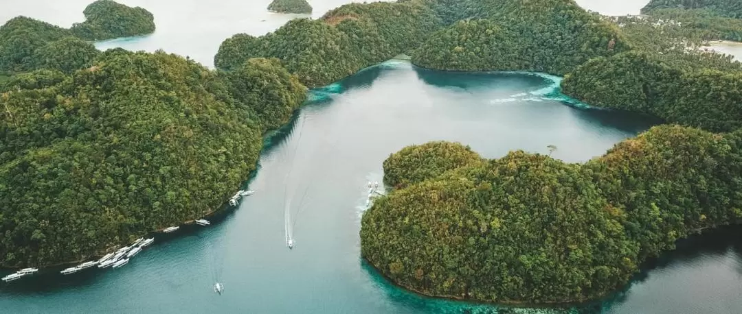 錫亞高島索科羅海灣探索之旅