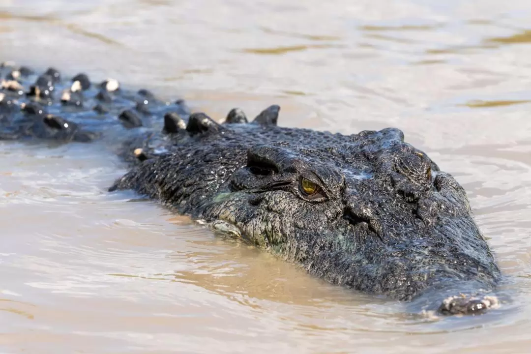 Kakadu National Park Wilderness Escape Guided Tour from Darwin