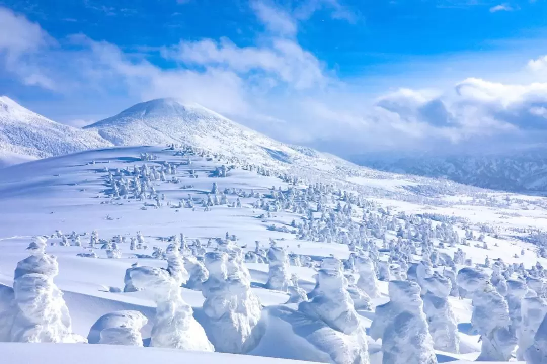 Aomori City, Customizable Chartered Car Winter Day Tour 