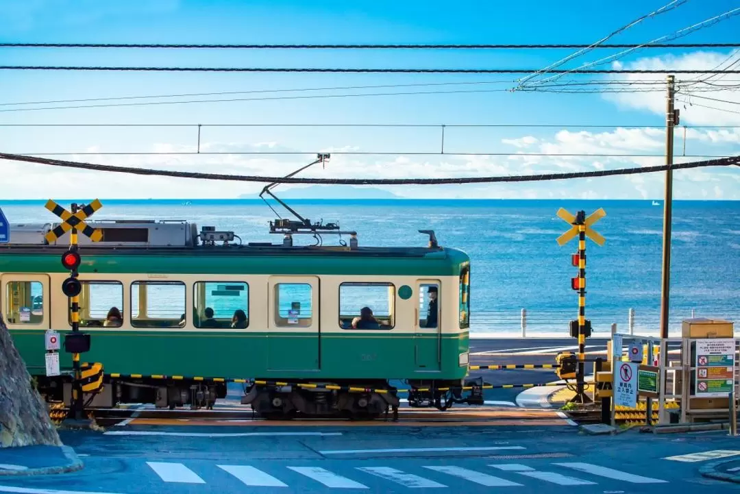 Kamakura Essential Walking Tour + Local Experience from Tokyo