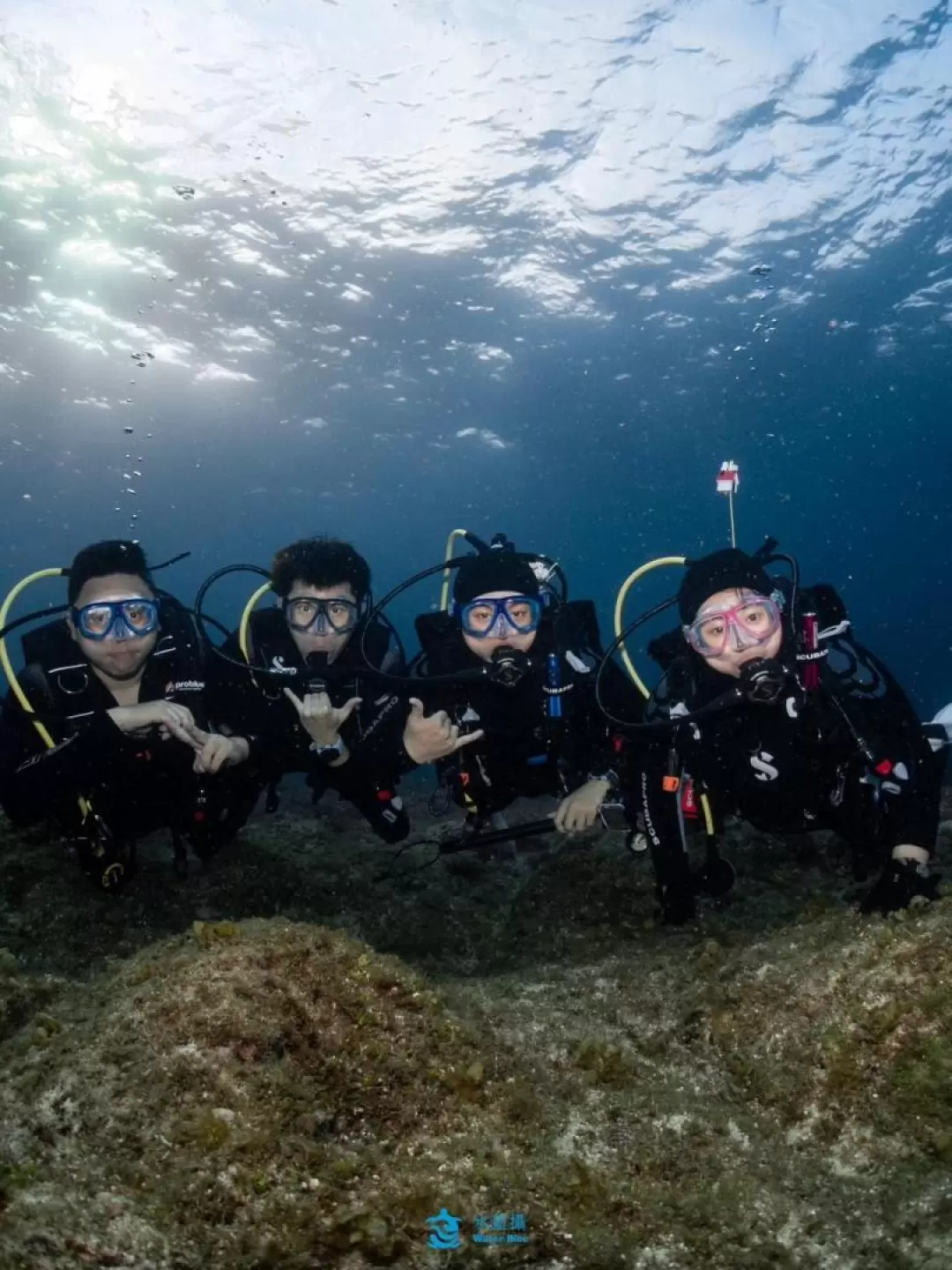 屏東: 水藍攝潛水 - 小琉球免證照體驗潛水