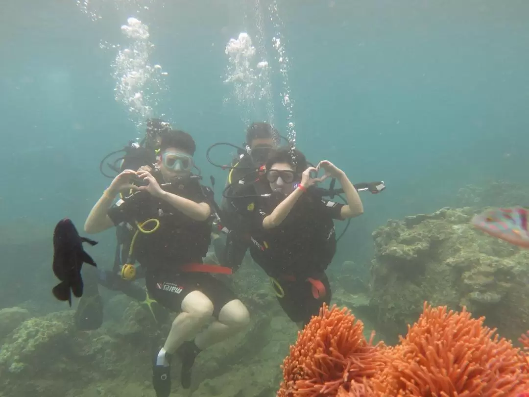 Scuba Diving Experience at Coral Reef from Nha Trang