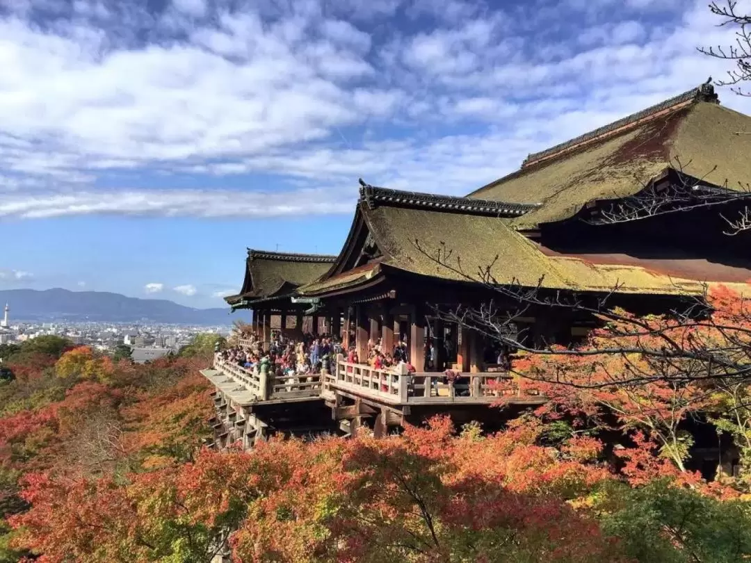 Kiyomizu-dera, Fushimi Inari Shrine, & Nara Park One Day Tour